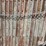 6'-concrete-wall-forms-image-14