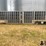 2005-barrett-livestock-image-8