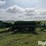 2019-great-dane-40-image-4