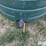 enduraplas-1100-gal-flat-bottom-tank-image-9
