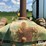 john-deere-a-image-11