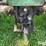 john-deere-a-image-20