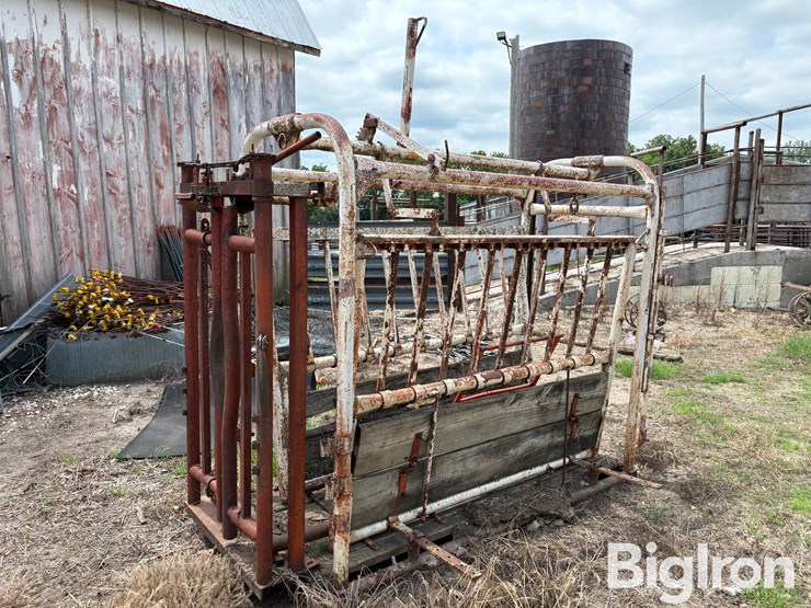 livestock-chute-image-6