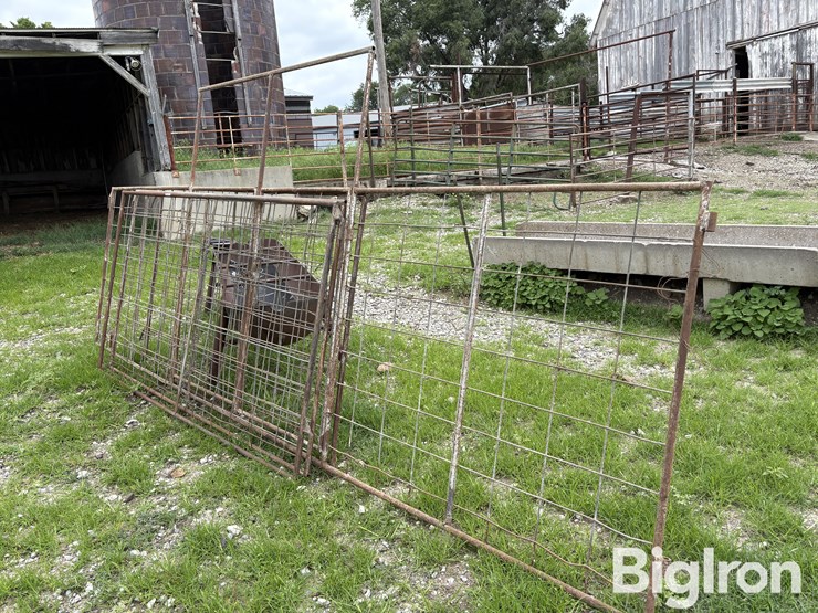 cattle-panel-w/insert-image-1