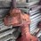 #5528-•-ih-highcrop-parts-image-9
