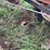 11'6"-field-cultivator-image-17