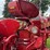 1954-farmall-international-300-image-21