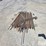rebar-image-8
