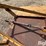 rhino-sat7-image-17