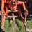 1970-allis-chalmers-190xt-image-14