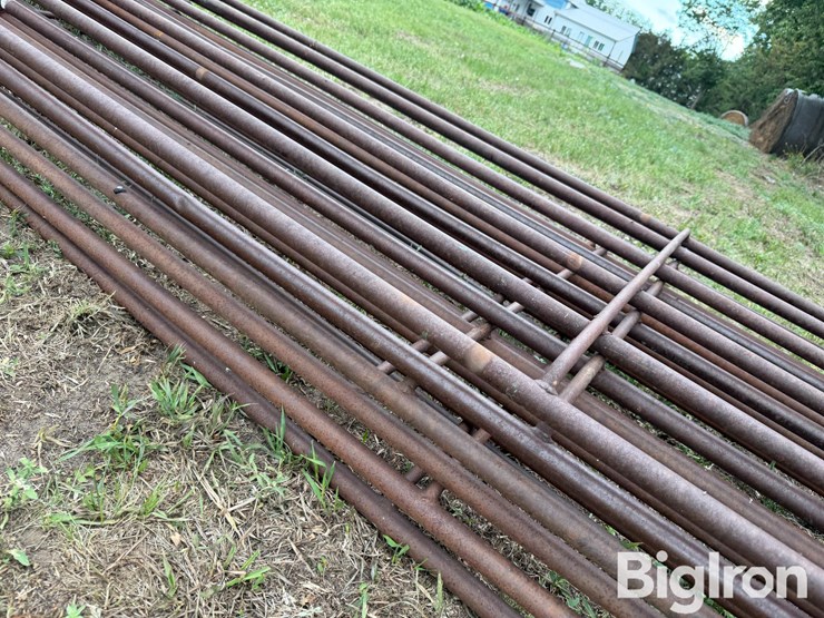 24'-continuous-6-bar-fencing-image-19