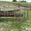 cattle-panel-w/insert-image-2