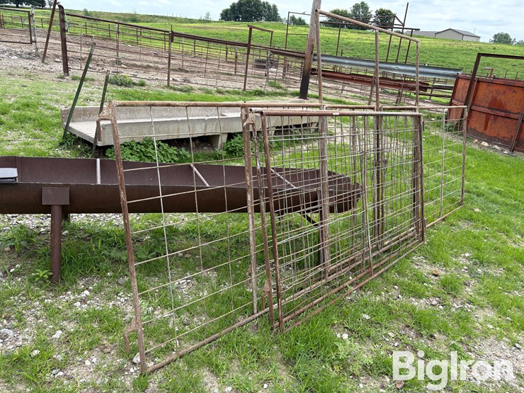 cattle-panel-w/insert-image-2
