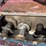 weatherford-5k-wp-triplex-pump-mtd-on-16’-t/a-gooseneck-trailer-image-14
