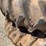 john-deere-4430-image-13