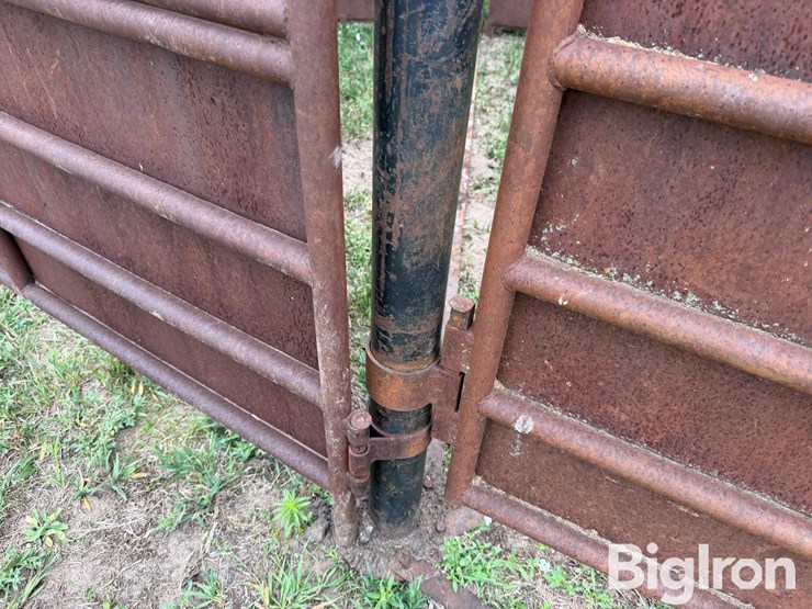 livestock-working-tub-image-13