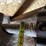 countyline-2100220-3-pt-post-hole-digger-image-17