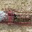 mayrath-10x42-image-12