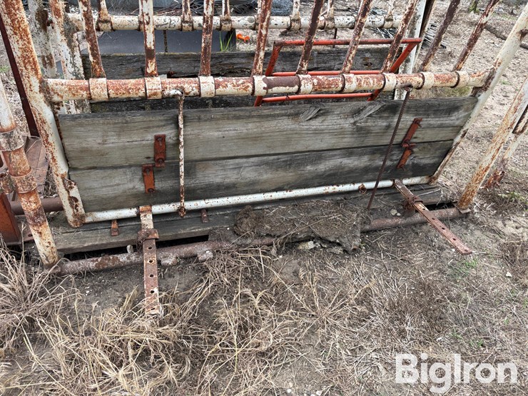 livestock-chute-image-18