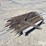 rebar-image-7