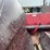 case-ih-1083-image-15