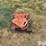 dikon-tractor-weights-image-8
