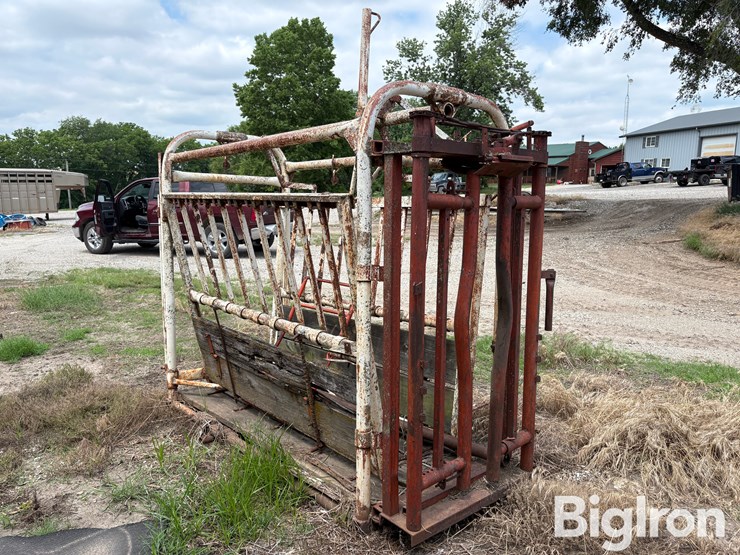 livestock-chute-image-8