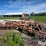 krause-19-image-6