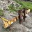 caterpillar-bale-lifter-image-6