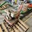 #115-•-self-propelled-roto-tiller-image-10