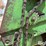 john-deere-660-image-10