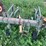 john-deere-rm-image-5