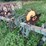 john-deere-rm-image-4