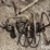 wire-jenny-image-8