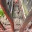 livestock-chute-image-10