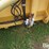 claas-12-30-image-12