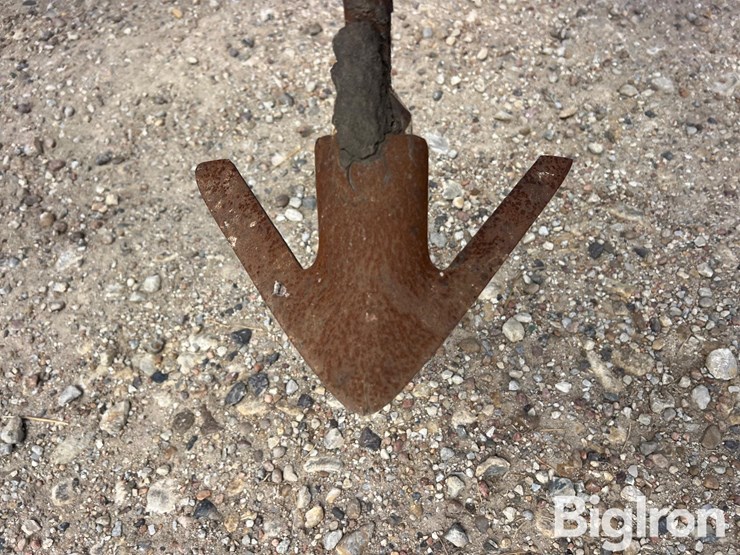wil-rich-quad-5-image-14