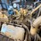caterpillar-3412ta-image-8