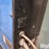 miller-millermatic-251-wire-welder-image-20