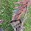 new-idea-252-image-19