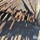 rebar-image-10