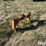 field-master-3-pt-quick-hitch-image-3