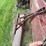 dearborn-19-5-image-6