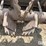john-deere-660-image-17