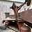 livestock-chute-image-19