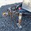 #2862-•-2017-pace-tandem-axle-enclosed-trailer-(has-wi-title)-image-12
