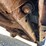 2007-chevrolet-colorado-image-17