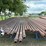 (620-x-$)-(620-feet)-20jts-of-4-1/2”-dp-w/-4-1/2xh-connections-image-2