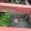 case-ih-490-image-10
