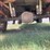 1997-ford-f350-image-15